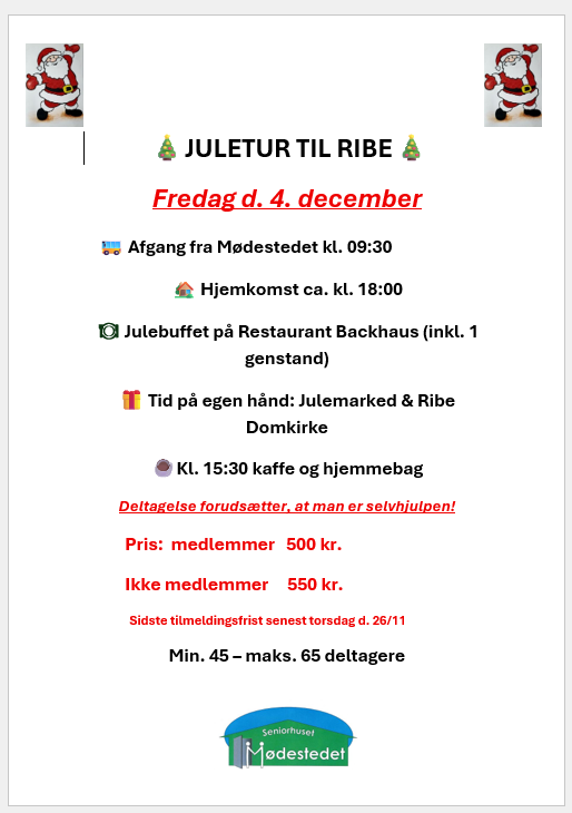 Juletur til Ribe